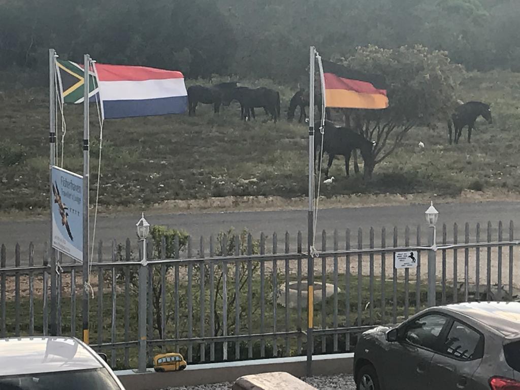 Fisherhaven Travellers Lodge Hermanus Exterior foto